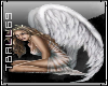 Sexy Angel Sticker