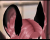 Cozy Ears V1