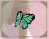 A: Arm butterfly sea