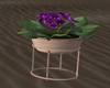 OX! Flower Lu