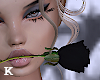 valentine's rose