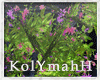 KYH |Balcony  tree