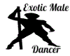 Exotic Male Dancer