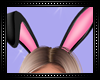 🐰 Bunny Ears Pink