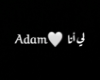 TO.Adam1