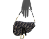 ♱ Saddle Bag