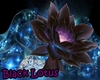 LGZ Black Lotus 