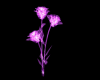 Purple neon rose