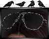 [Maiba] Sunglasses