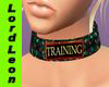 (LL) Collar training