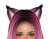 Moving  Pink Kitty Ears