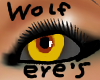 |SS| Wolf Eye's
