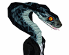 Cobra Snake Head