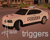 Police Cruiser w/ Trigs