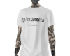 Palm A. Spray Wht + Tat