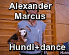 Alexander Marcus_Hundi