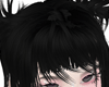 shiro