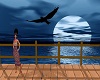 Blue Moon & Bird Art Ani
