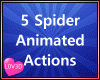 Spider Animated Actions