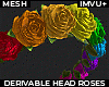 ! rainbow head roses DRV