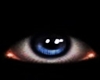 Abilot blue Eyes [TMR]