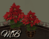 ~M~ Holiday Plants