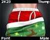 T l Fallen pant X-mas