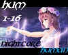 Nightcore-Human
