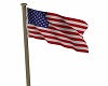 Flag Pole US