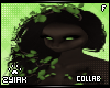 Z; Pan Hair F V1