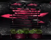 Club Style Lotus Plants.