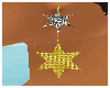 [m58]Shiny star earrings