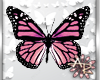 ! Butterfly Pink