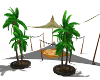 Arabian Tent Coco Trees