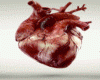 Heart ReaL Animated