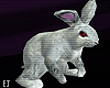 EJ| AIW White Rabbit