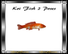 Koi Fish 2 Anim Poses