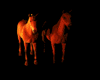 Animated Horses