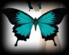 blue-butterfly :D