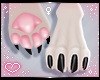 ˏˋ✧ Furry Paws