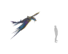 Sky Bird Creature