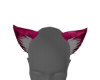crimson red cat ears