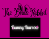 [B] Bunny Burrow Neon