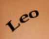 tatoo Leo