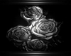 New Gothic Black