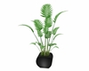 Palm leaf potted plant