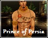 Prince of Persia Outfit