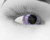 ~BLUE LILAC EYES