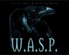 Wasp - Scared To Death