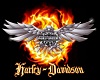 Harley Flames